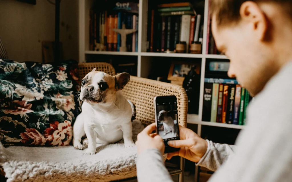 Taking a photo for Instagram stories