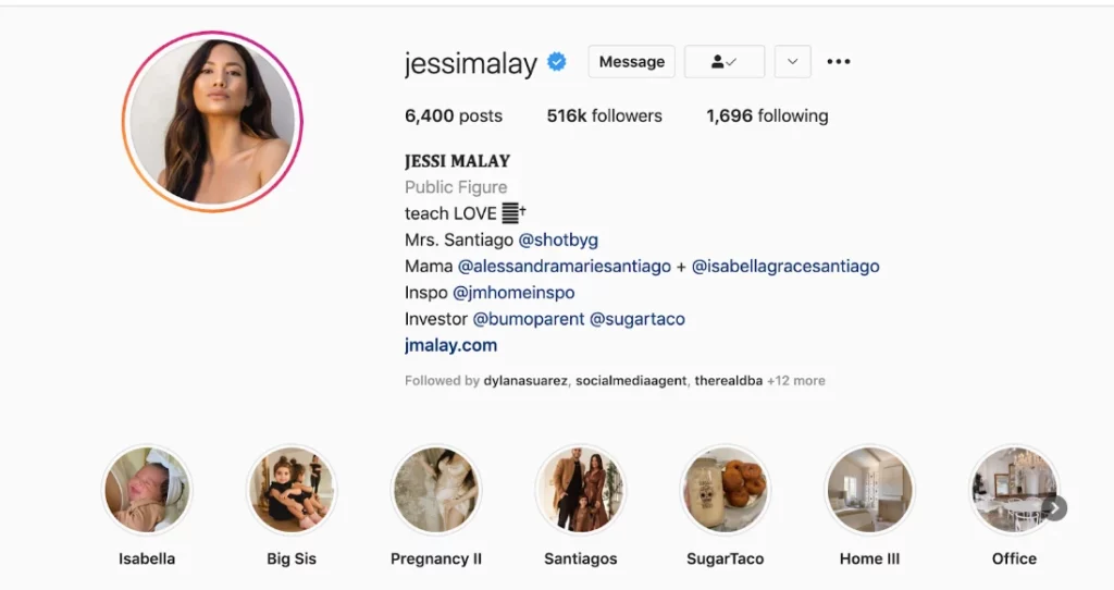 A screenshot of Jessi Malay's Instagram account