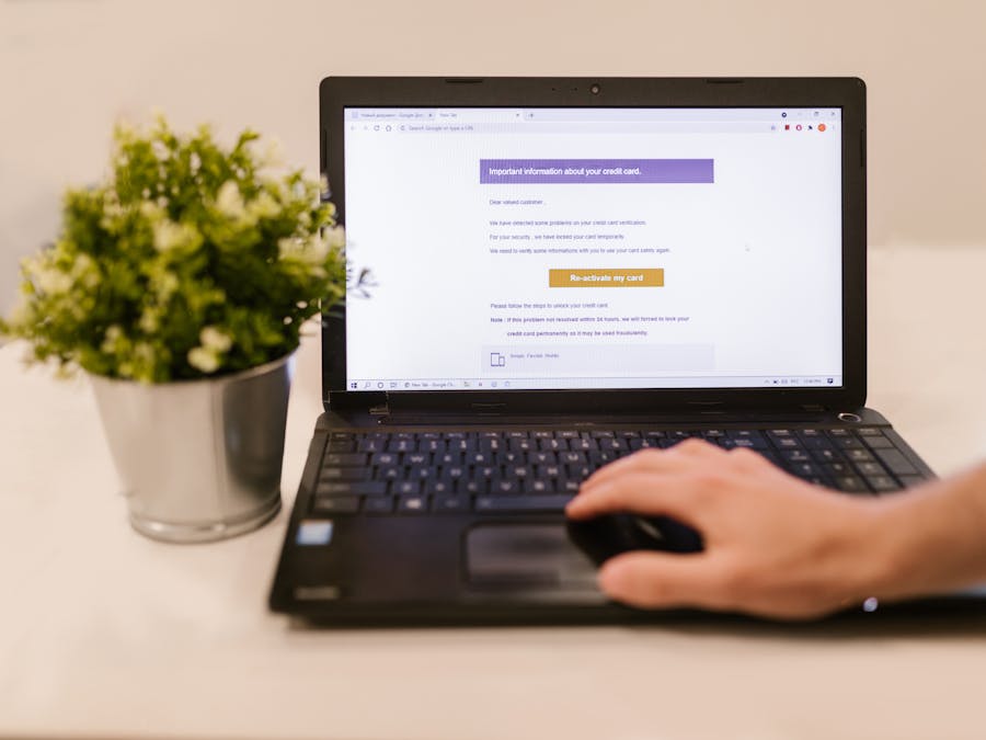 Person using a laptop to read an email indoors beside a potted plant.