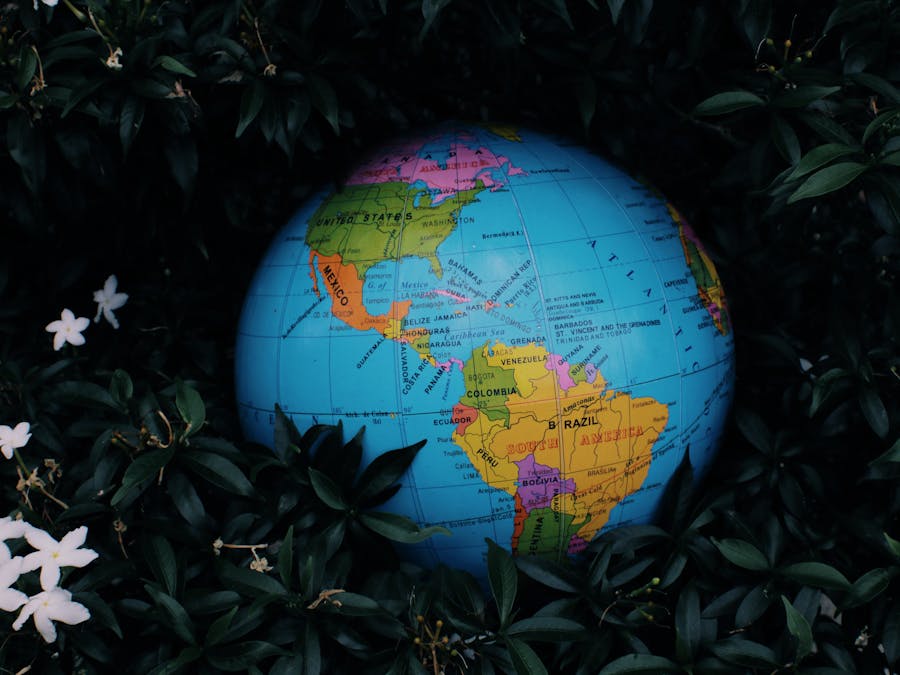 Earth globe toy placed in green bush with white flowers in nature in daytime