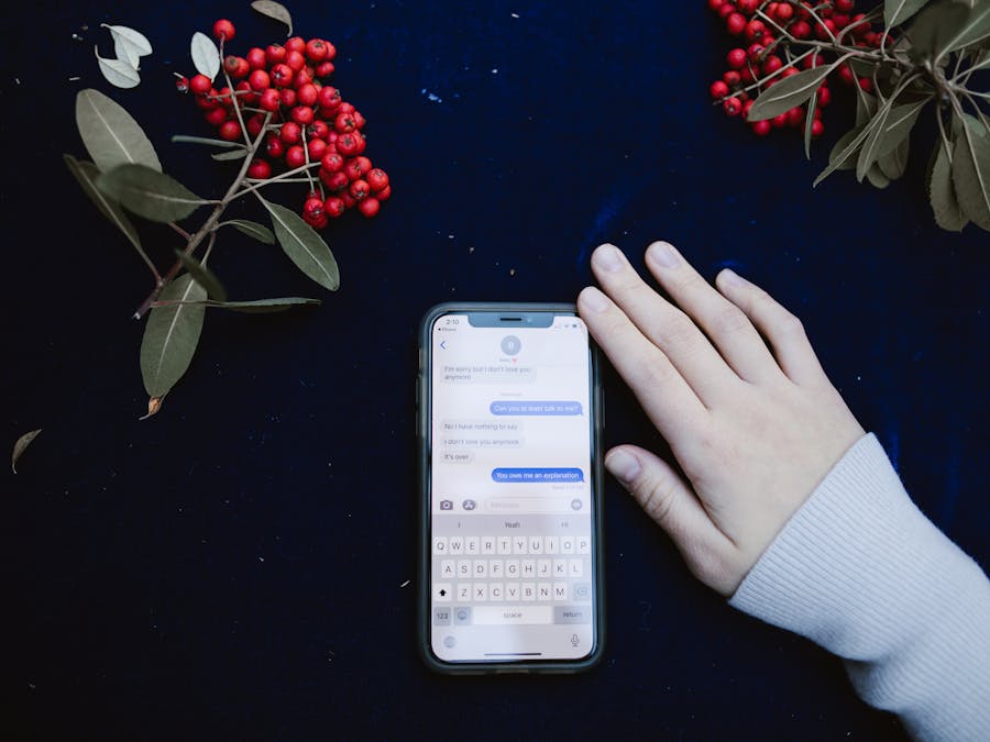 A hand beside a smartphone showing a text message conversation, surrounded by red berries.
