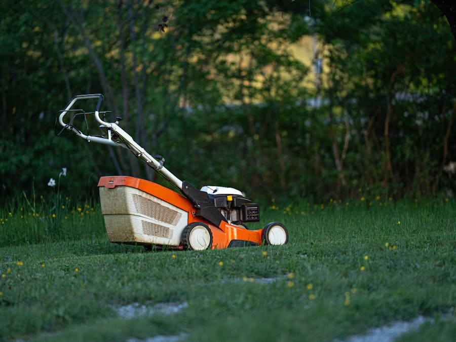 A lawn mower sits on a green lawn in a backyard, ready for yard work.