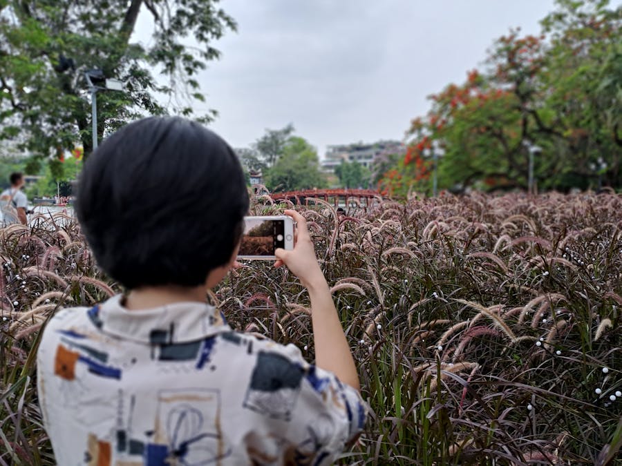 A woman with short black hair photographs lush park scenery using her smartphone.