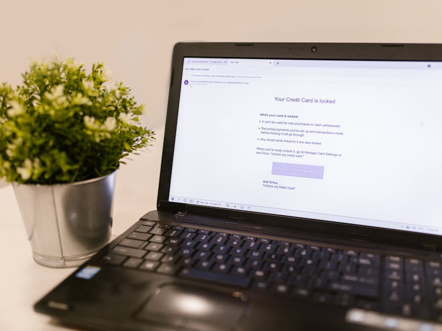 A close-up of a laptop screen showing a credit card security notification next to a potted plant.