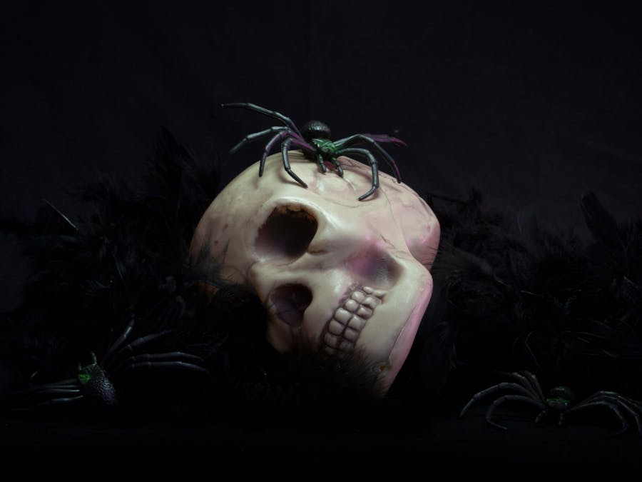 Eerie skull surrounded by spiders, perfect for Halloween decorations and spooky celebrations.
