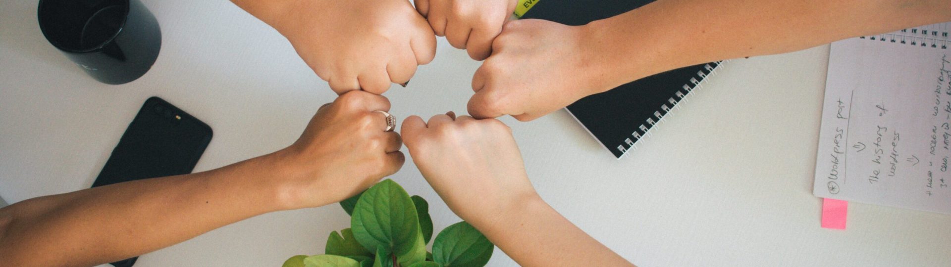 people connecting fists in circle