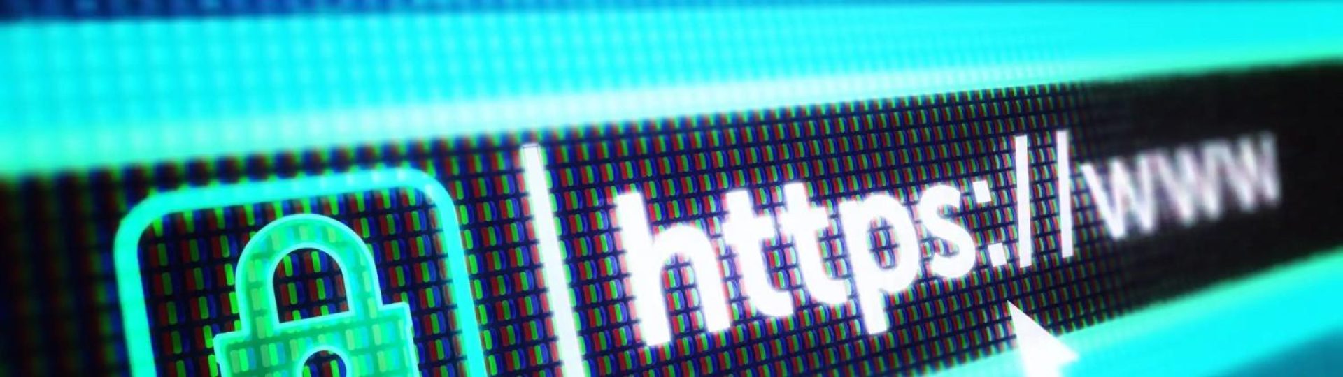 image-15-r428bnsgvelje52qrzrzjrgyd3ngbjbutyvfpixma